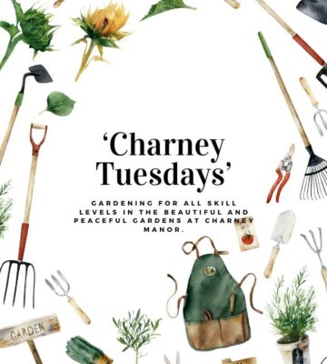 Charney Tuesdays