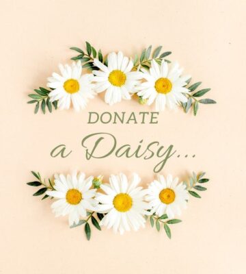 Donate a daisy