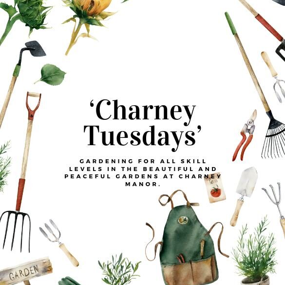 Charney Tuesdays