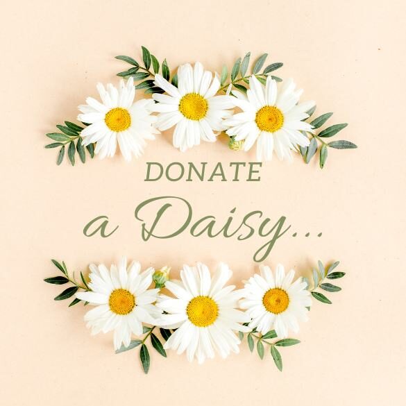 Donate a daisy